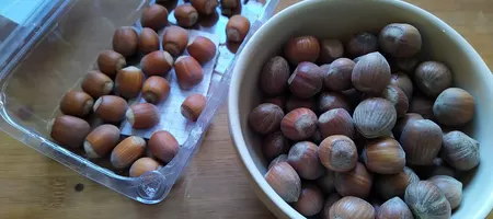 Photo of hazelnut varieties from Germany