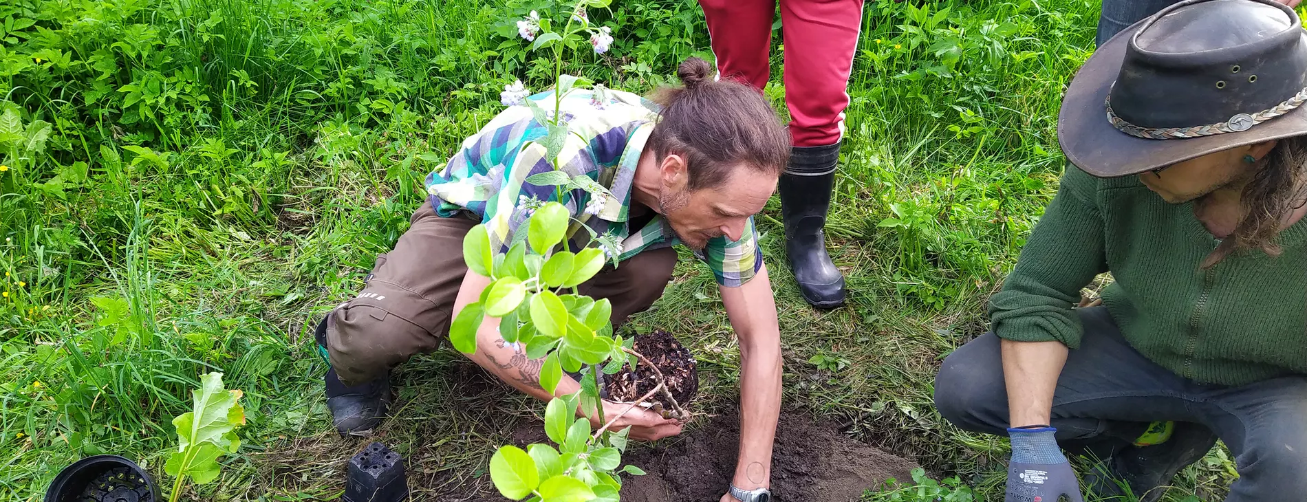 Anton Nordqvist teaching edible forest gardens