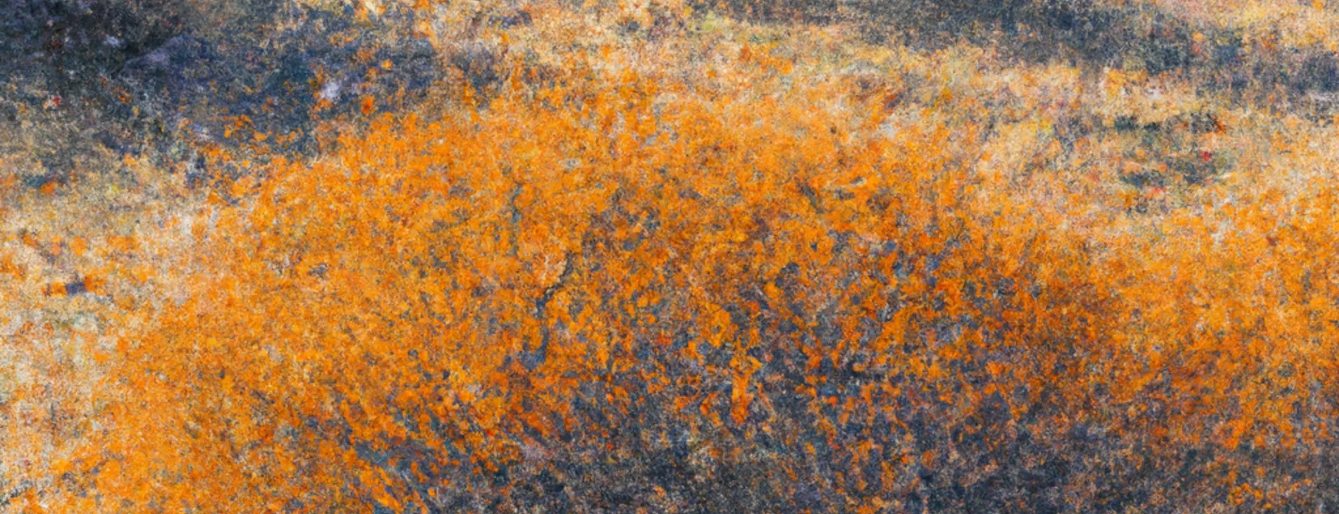 Rhapsody in orange - sea buckthorn landscape