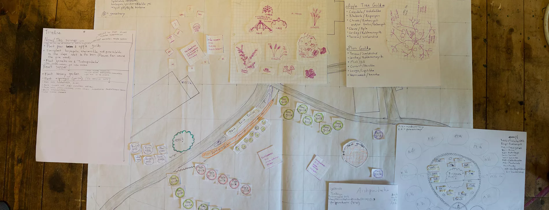 A permaculture design during the PDC @ Beyond Buckthorns