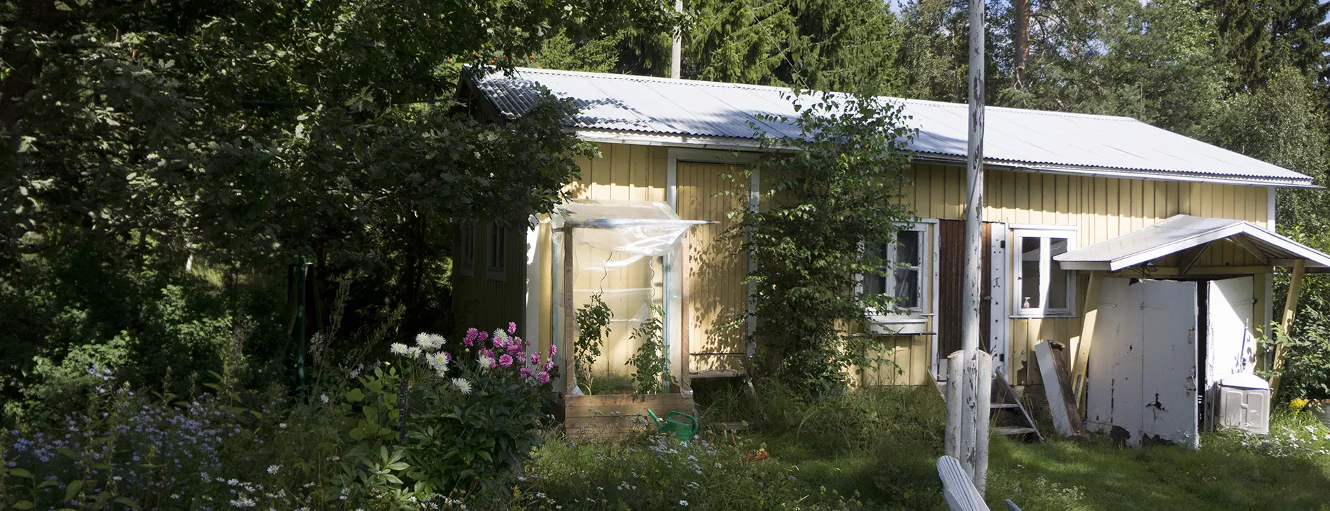 A shed at Beyond Buckthorns