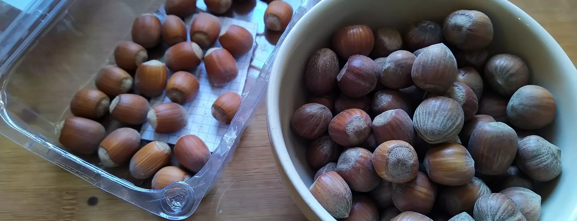 Photo of hazelnut varieties for Germany