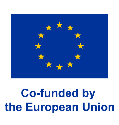 Co-funded by the European Union