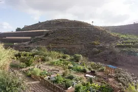 Organic permaculture farm near Las Palmas