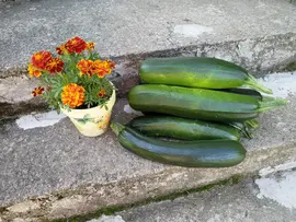 Zucchinis on the stairs