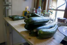 Zucchini waiting on the workbench to be chopped