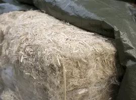 Insulating a rintamamiestalo with hemp