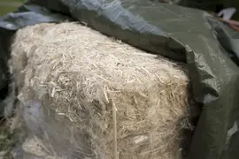 Insulating a rintamamiestalo with hemp