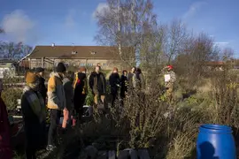 The Finnish Permaculture Associationas winter meeting in Koroinen