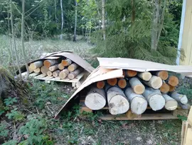 different logs inoculated with mushroom brood resting on a palett