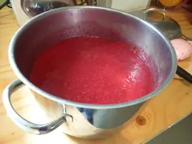 Mashed Finnish lingonberries