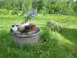 Herbs in pots and grass mulch