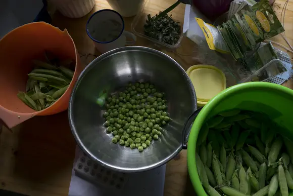 International Permaculture Day Talkoot