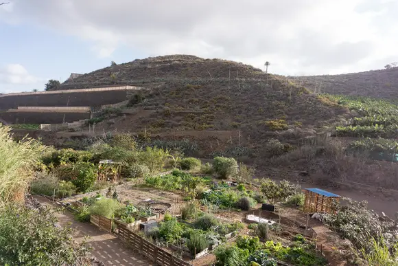 Organic permaculture farm near Las Palmas