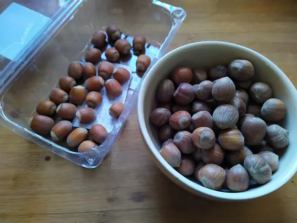 Photo of hazelnut varieties for Germany