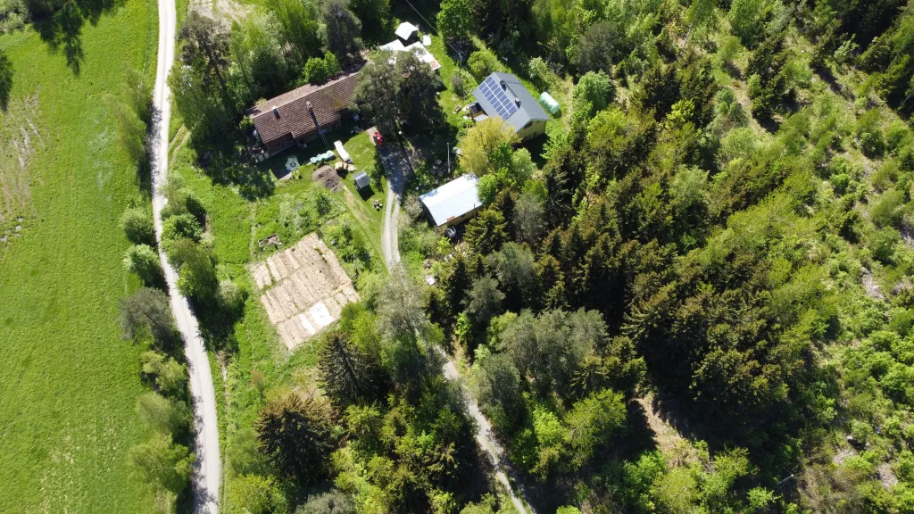 Beyond Buckthorns Permaculture aerial image