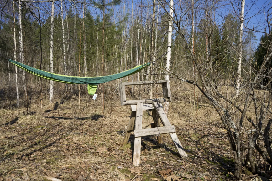 hammock at Beyondbuckthorns