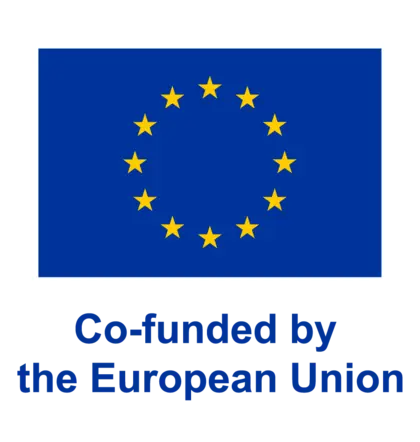 Co-funded by the EU