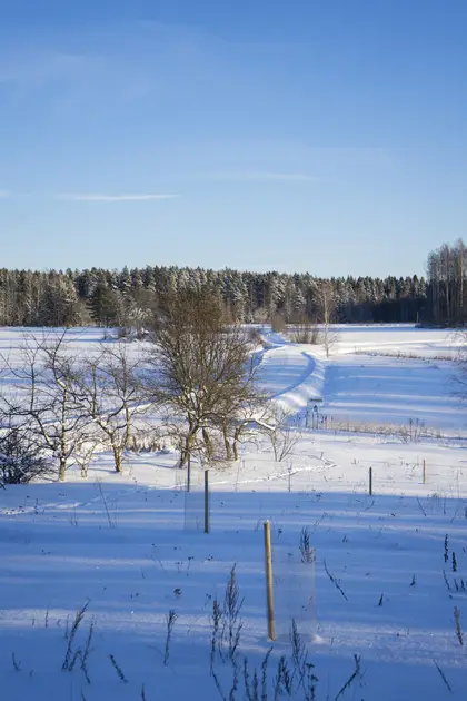 Overview of the slope in winter