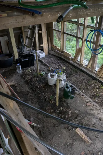 Planting the indoor food forest