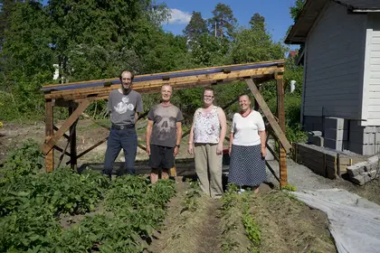 Roofing ceremony of the tomato house