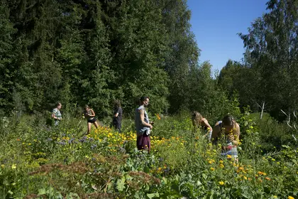 designCamp: fair share for everyone - food & flowers from the garden