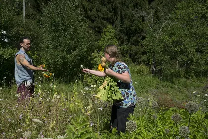 designCamp: fair share for everyone - food & flowers from the garden