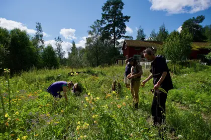 at the permaculture garden of Beyond Buckthorns - photo by Gergő Szász