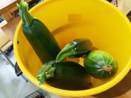 The hero of the dish: zucchinis