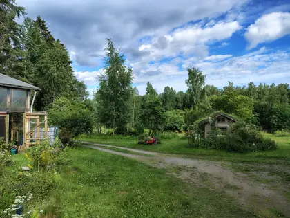 Beyond Buckthorns July 2026