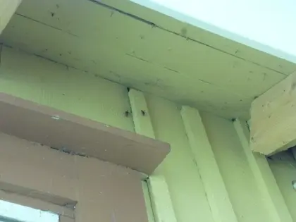 A hole needs to be drilled next to a wasp hive