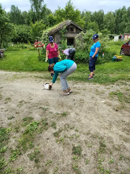 Kesätalkoot