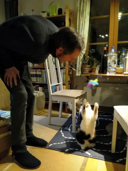 Playing