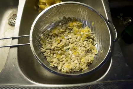 Zucchini seeds on a sieve in order to remove the remaining flesh Zucchini seeds on a sieve in order to remove the remaining flesh