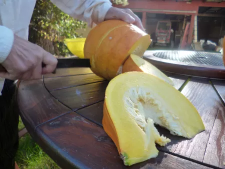 Cutting pumpkin wedges Cutting pumpkin wedges