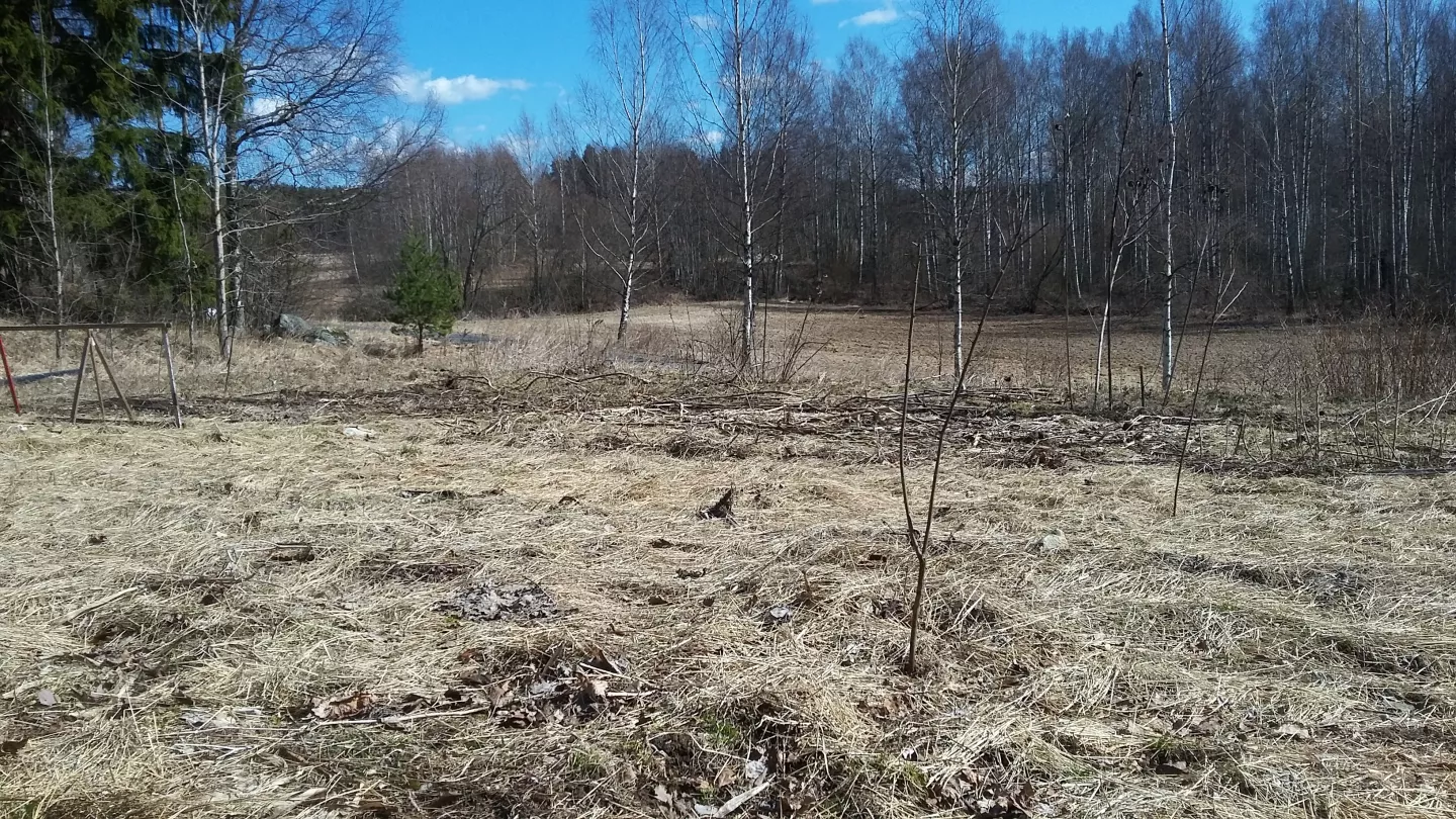 Garden with mulch covering