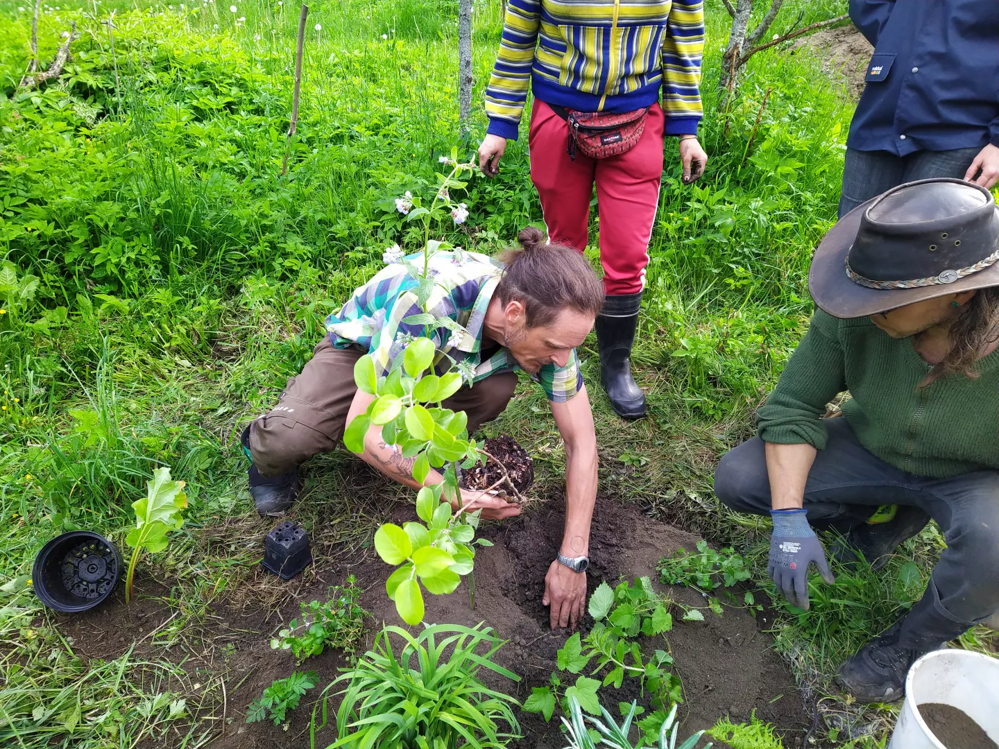 Anton Nordqvist teaching about Food forests