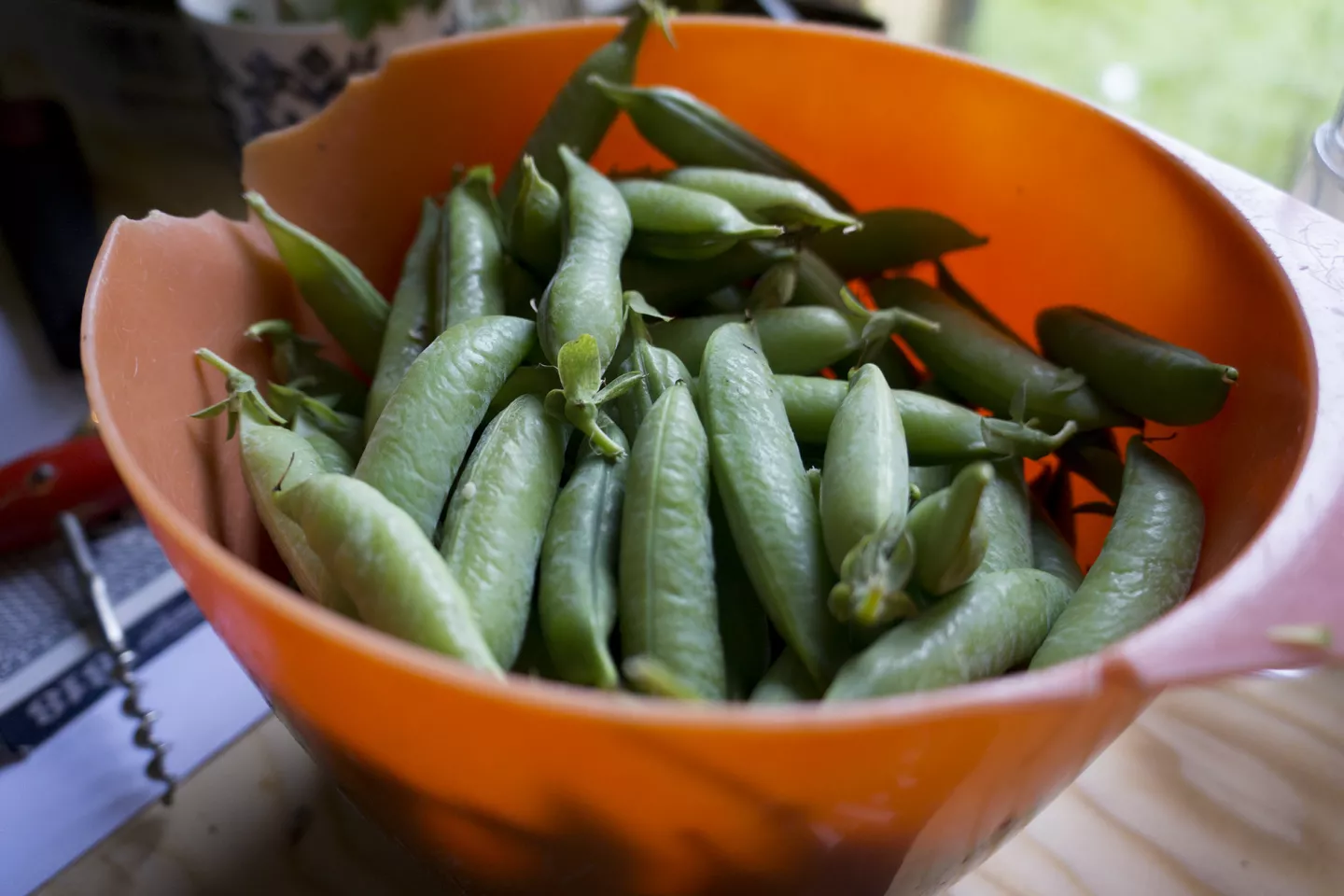 Organic grown peas ready to eat