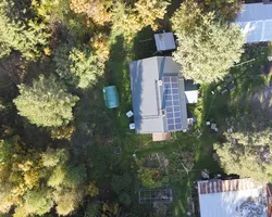 Food forest in Zone 1 at Beyond Buckthorns