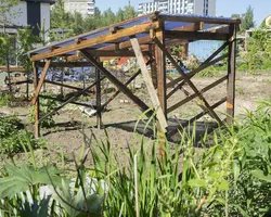 Permaculture tomato house