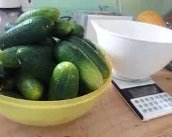 Cucumbers to be pickled
