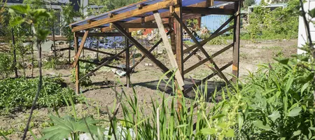 Permaculture tomato house