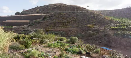 Organic permaculture farm near Las Palmas