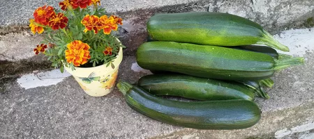 Zucchinis on the stairs