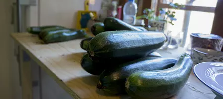 Zucchini waiting on the workbench to be chopped