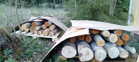 different logs inoculated with mushroom brood resting on a palett