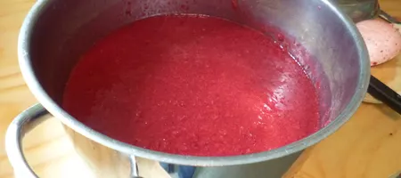 Mashed Finnish lingonberries