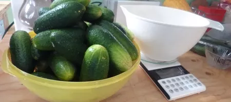 Cucumbers to be pickled