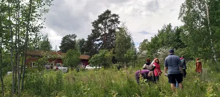 Permakulttuurin perusteet -kurssi Beyond Buckthornsilla heinäkuussa 2024