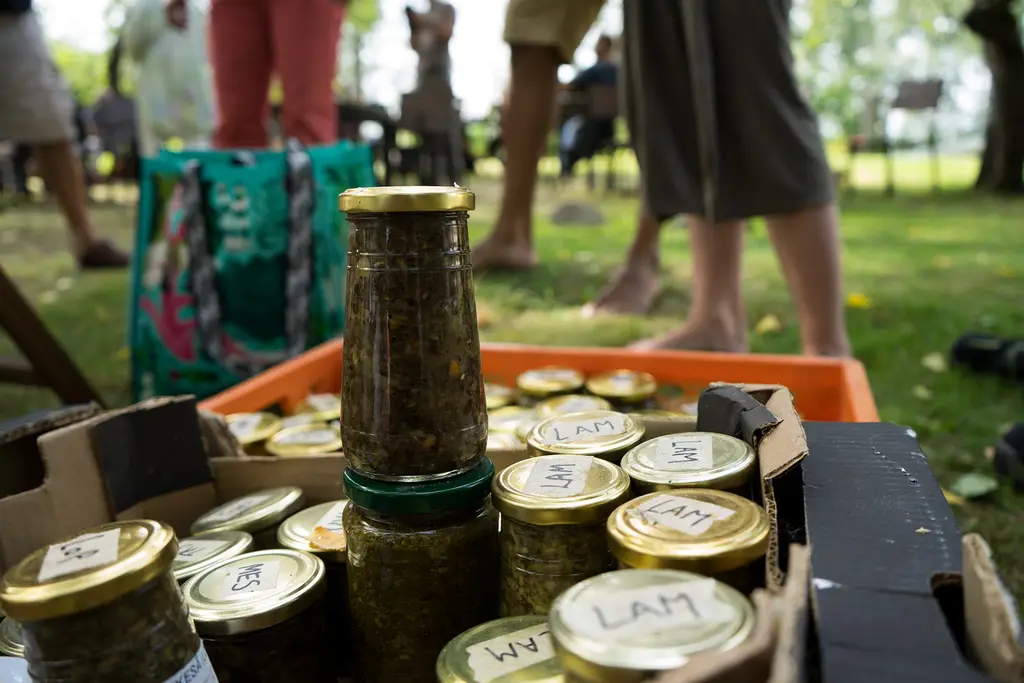 Nordic Permaculture Festival Finland 2022 - image by Dominik Jais